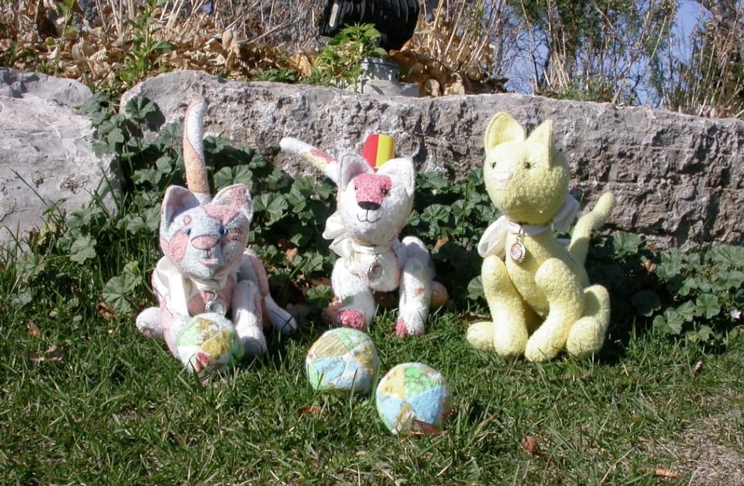 39957069_1640159666087976_7069484163119710208_n