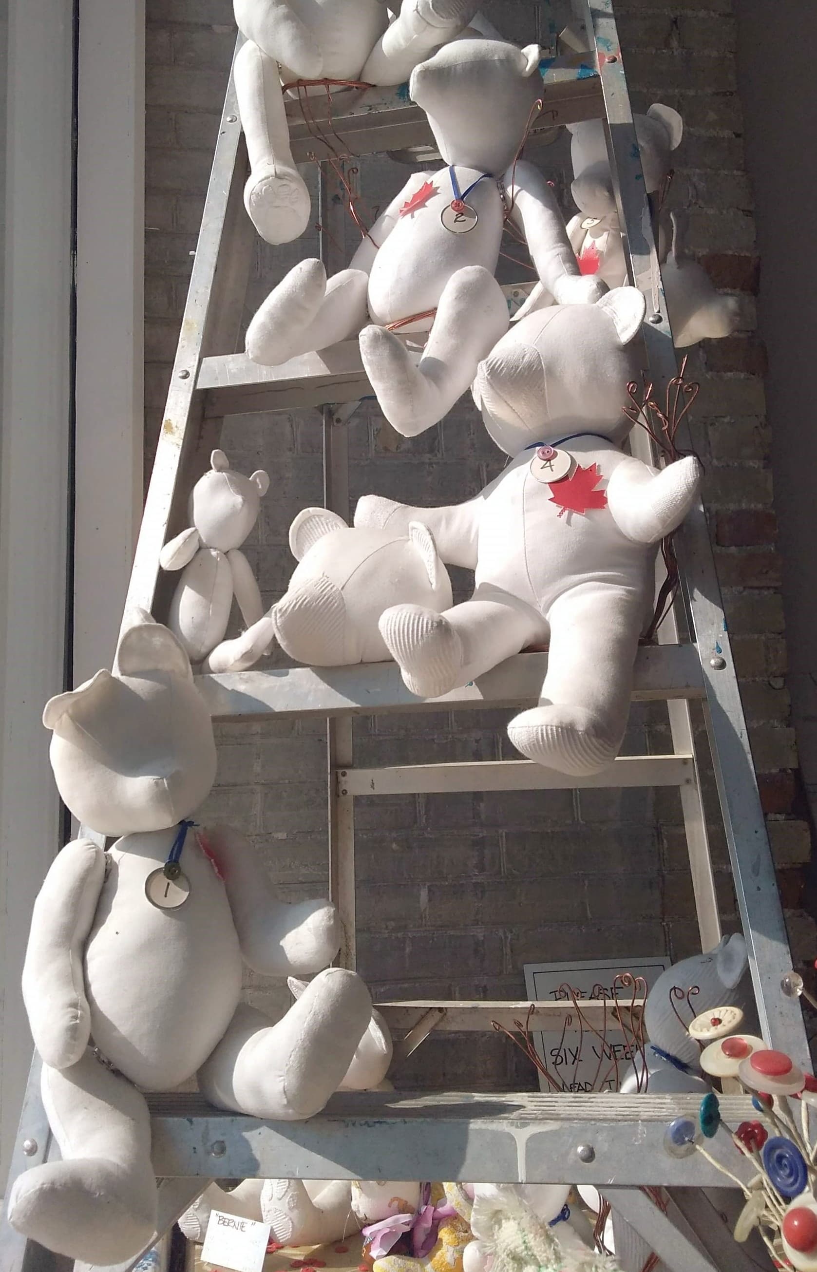 47292466_934414060101398_6880651557969330176_n